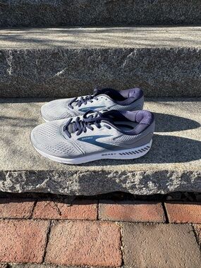 Brooks Men’s Beast Light Gray and Navy Running Shoes